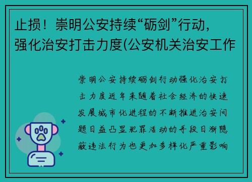 止损！崇明公安持续“砺剑”行动，强化治安打击力度(公安机关治安工作亮点)