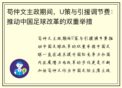 苟仲文主政期间，U策与引援调节费：推动中国足球改革的双重举措