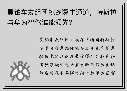昊铂车友组团挑战深中通道，特斯拉与华为智驾谁能领先？