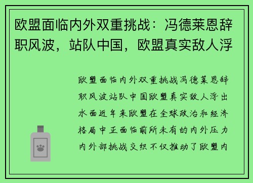 欧盟面临内外双重挑战：冯德莱恩辞职风波，站队中国，欧盟真实敌人浮出水面